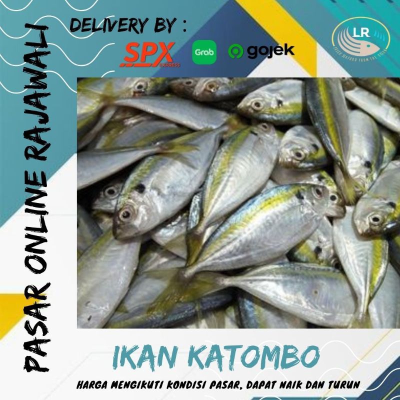 

Ikan Katombo
