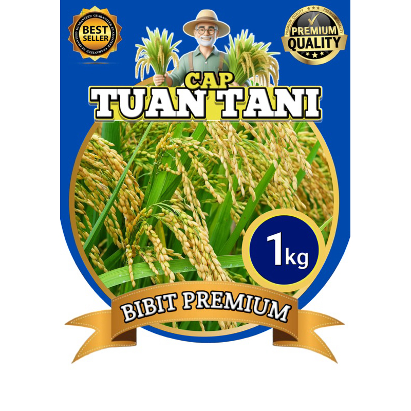 bibit/benih padi inpari 32 1kg