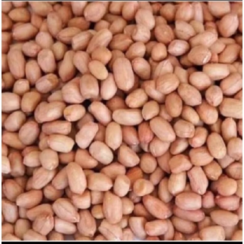 

kacang tanah ..atau kacang sambal