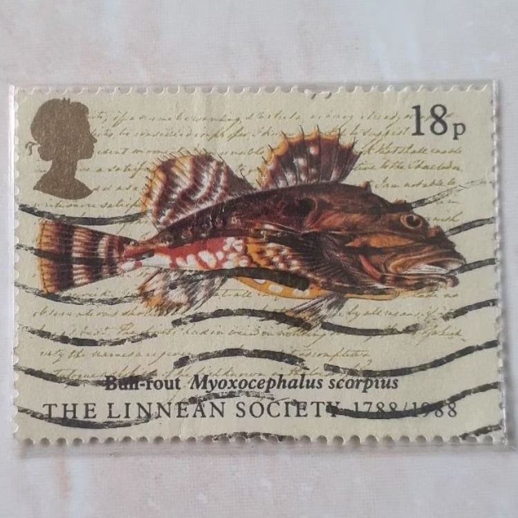 

Perangko Inggris Britania Raya Linnran Society - Bull Rout Tahun 1988
