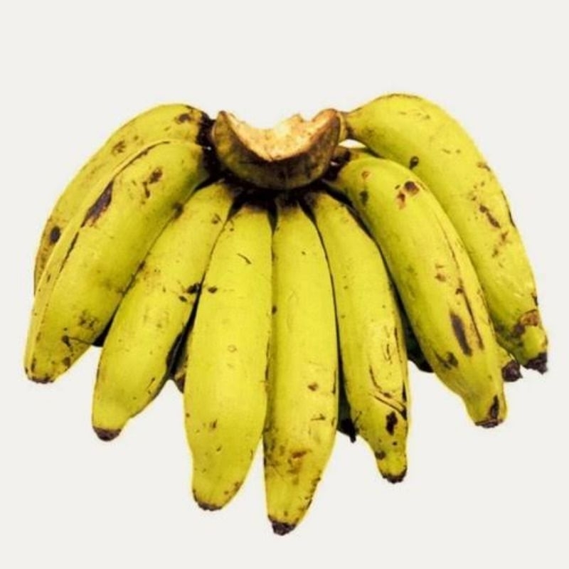 

PISANG NANGKA 1 SISIR 1KG SEGAR TUA SIAP KIRIM