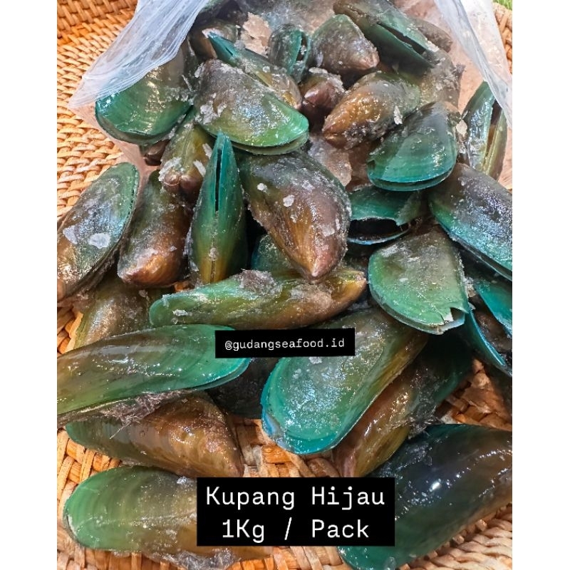 Kerang Kupang Hijau 1kg / Pack
