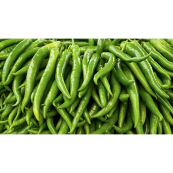 

Cabai Hijau Segar Medan Daily Market