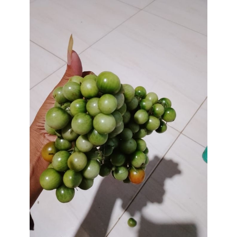 

rampai