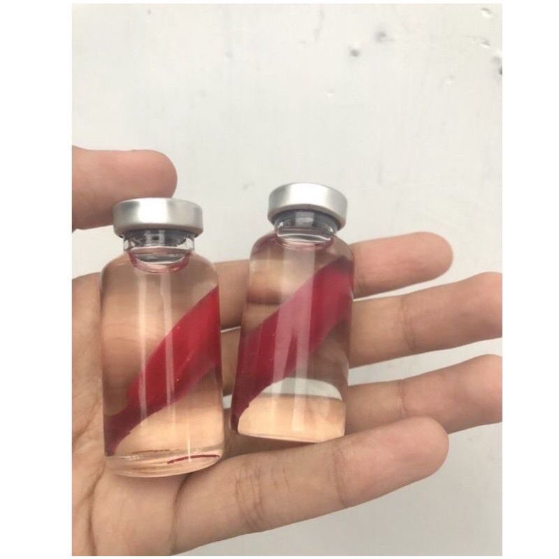 kembang kantil merah isi 1