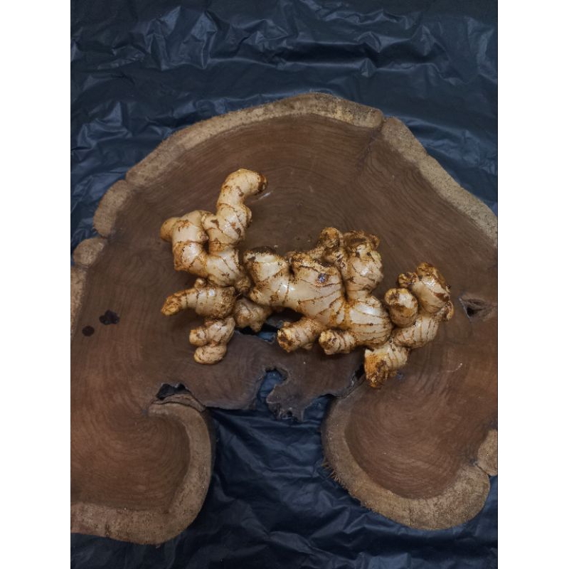 

jahe gajah / jahe putih fresh segar 500kg