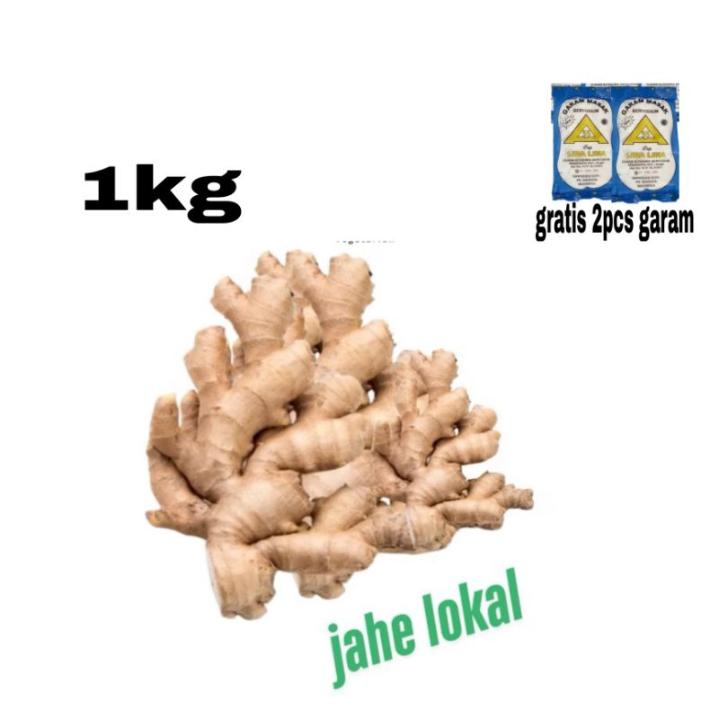 

Promo Jahe Gajah Jahe Gajah Super 1kg murah