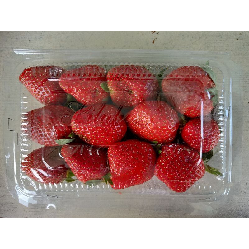 

Strawberry Spesial Fresh 1 KG (PENGIRIMAN INSTAN)