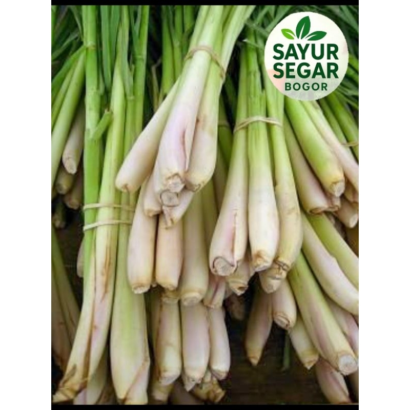 

Daun Serai 500 gr