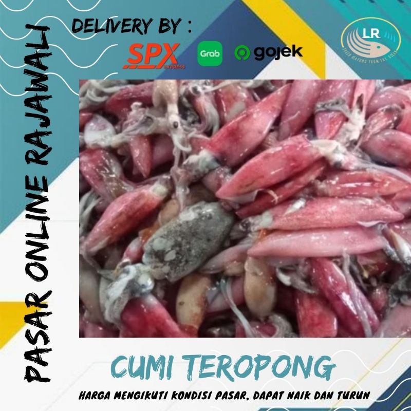 

Cumi teropong