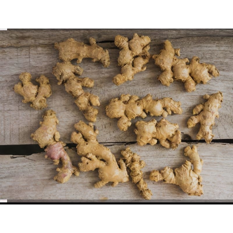 

JAHE EMPRIT FRESS KEMASAN 250gram