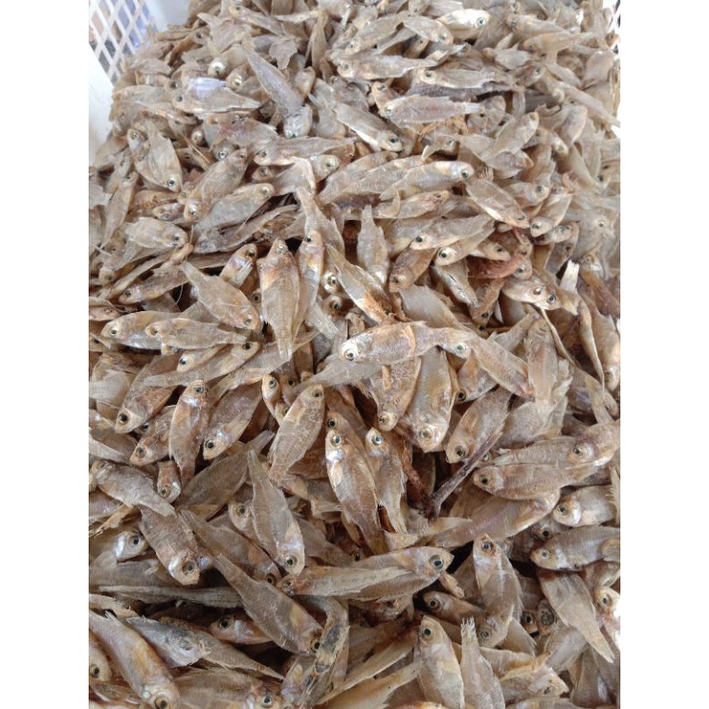 

Ikan Asin pengkah/ ikan Kelapan