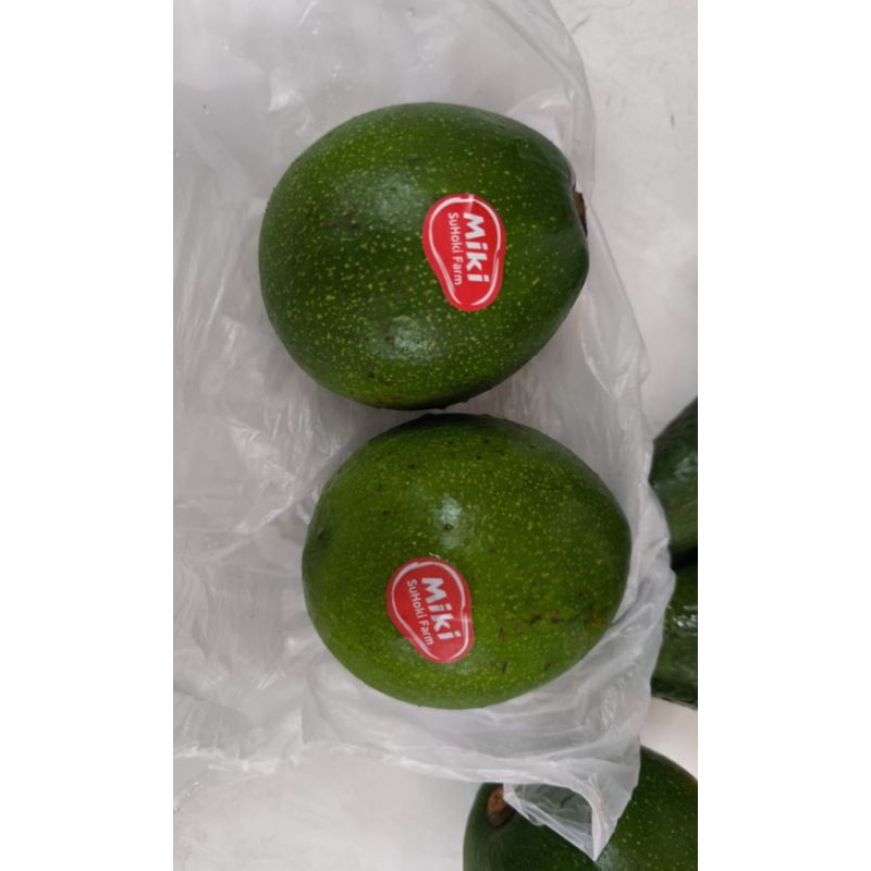 

Alpukat Miki Super Pulen / Buah Alpukat Miki / 1 kg