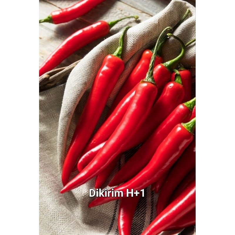 

Cabe Merah Besar 500gram