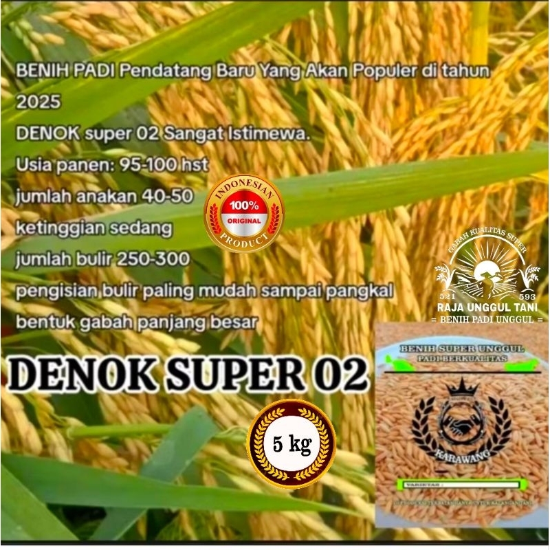 

Benih bibit padi 5kg Denok 02 super unggul gabah berkualitas unggul terbaru di thn 2025 ganjah hasil