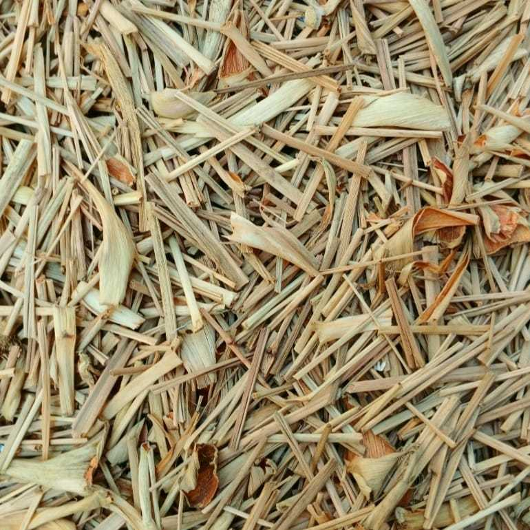 

DAUN SEREH KERING IRIS