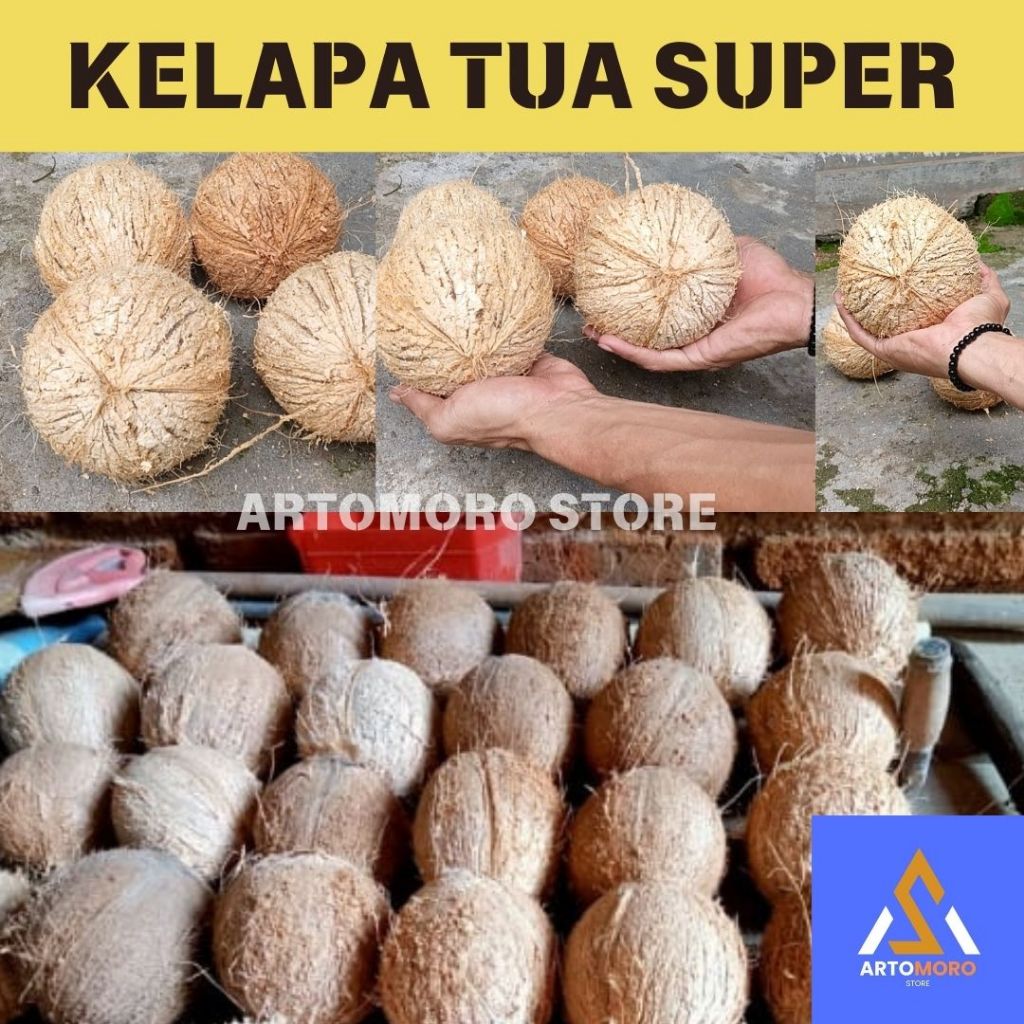 

KELAPA | KELAPA SUDAH KUPAS | KELAPA TUA | KELAPA SUPER