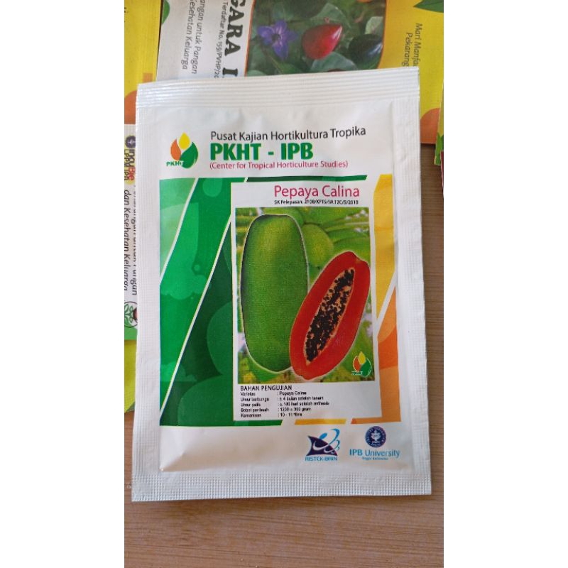 Benih pepaya Calina PKHT IPB 9 250 Butir