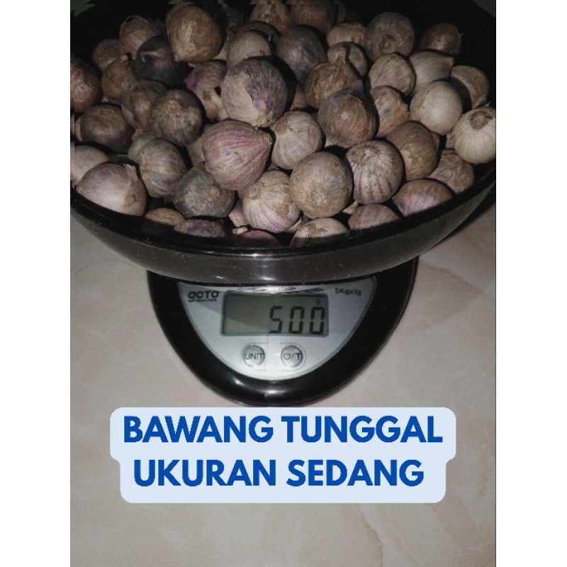 

Bawang Putih Tunggal/Bawang Lanang Asli tanpa campuran,fresh impor China, Ukuran Sedang