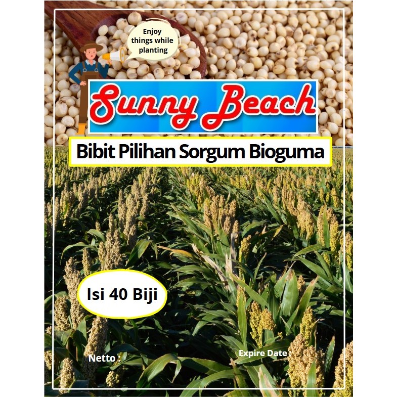 Bibit Pilihan Sorgum Bioguma | Benih Sorgum Bioguma