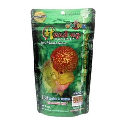 Okiko Platinum Flowerhorn feed - OKIKO HIJAU