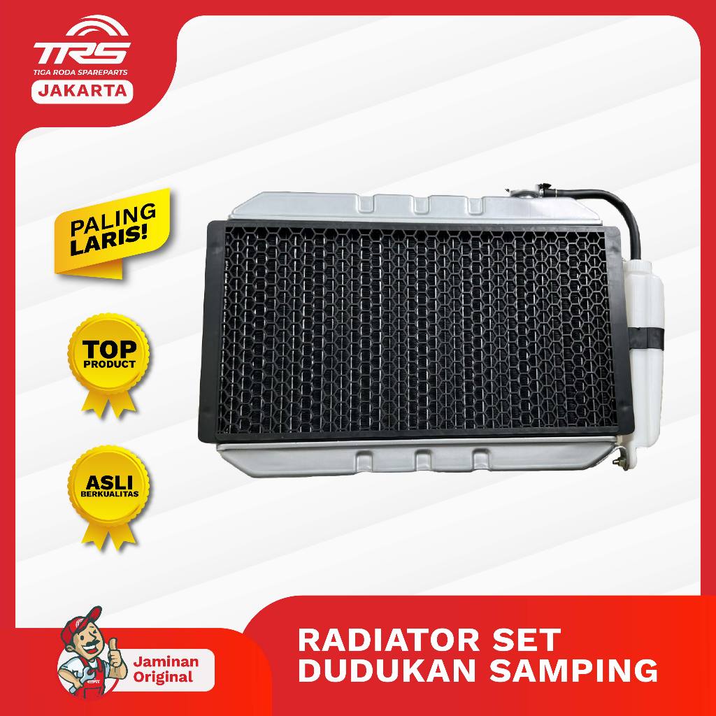 TRS Radiator Set Dudukan Kanan Kiri Pendingin Mesin Motor Roda Tiga Kaisar 250cc Jialing Spareparts 