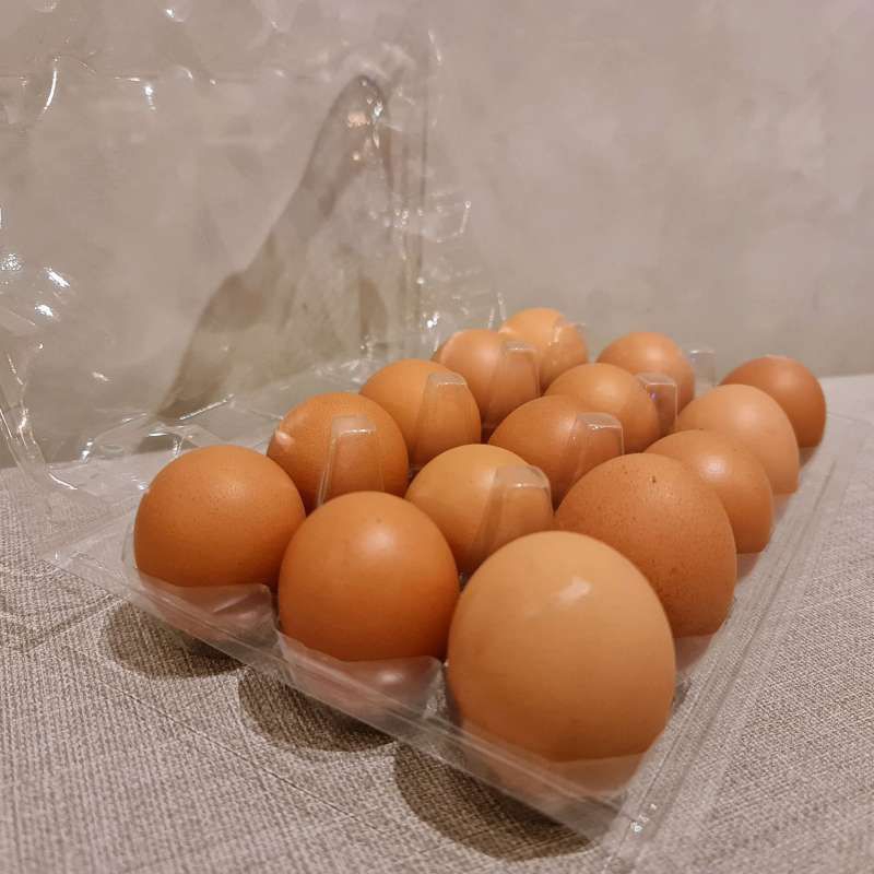 

telor ayam negeri 15 butir atau ± 1 kg telor ayam