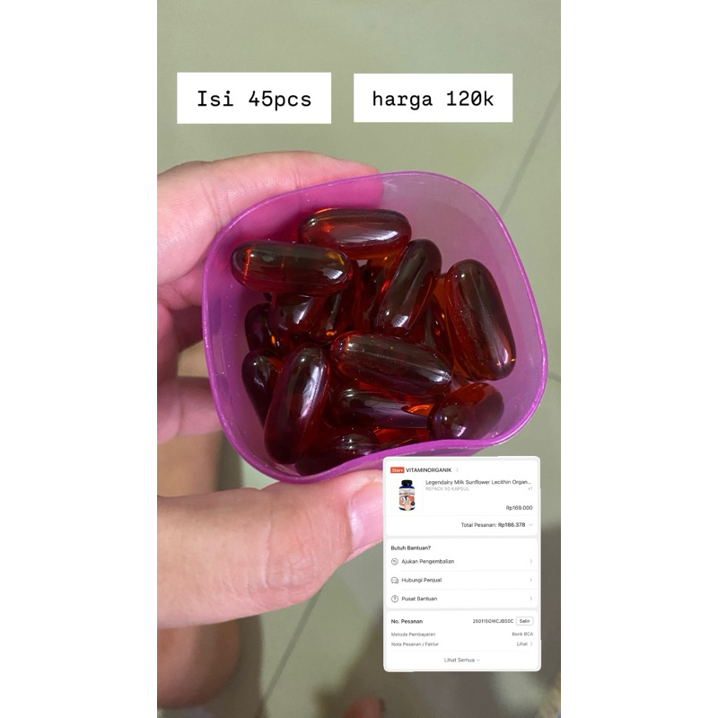 preloved legendary sunflower letichin