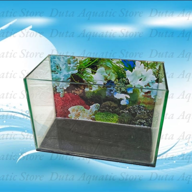 aquarium kaca ukuran 30x15x20 pengiriman instan akuarium kaca tebal 5 ml