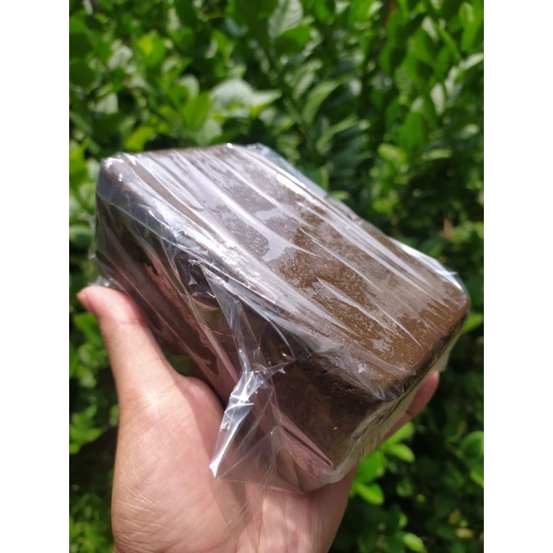 

Terasi Ikan 1 Kg Terasi Kerupuk Terasi selevel ABC