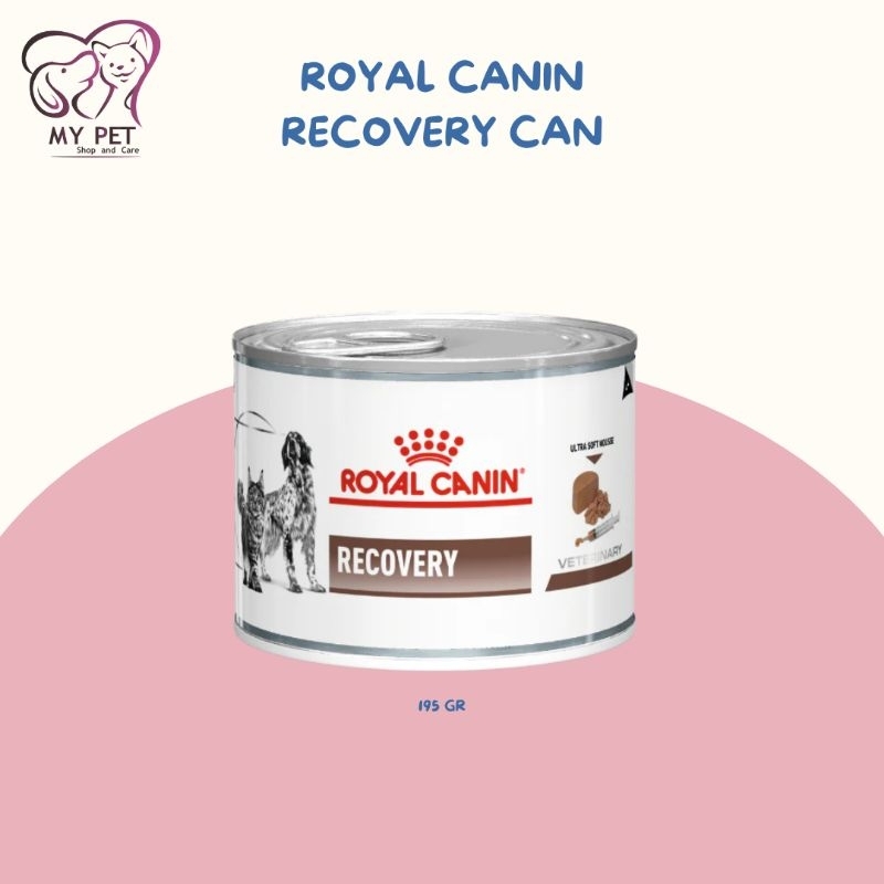 Royal Canin Recovery