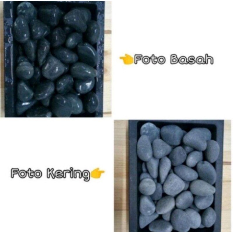 Batu Hias Koral Hitam Bengkulu - Batu Hias Aquascape Aquarium - Batu Taman Koral Hitam Bengkulu