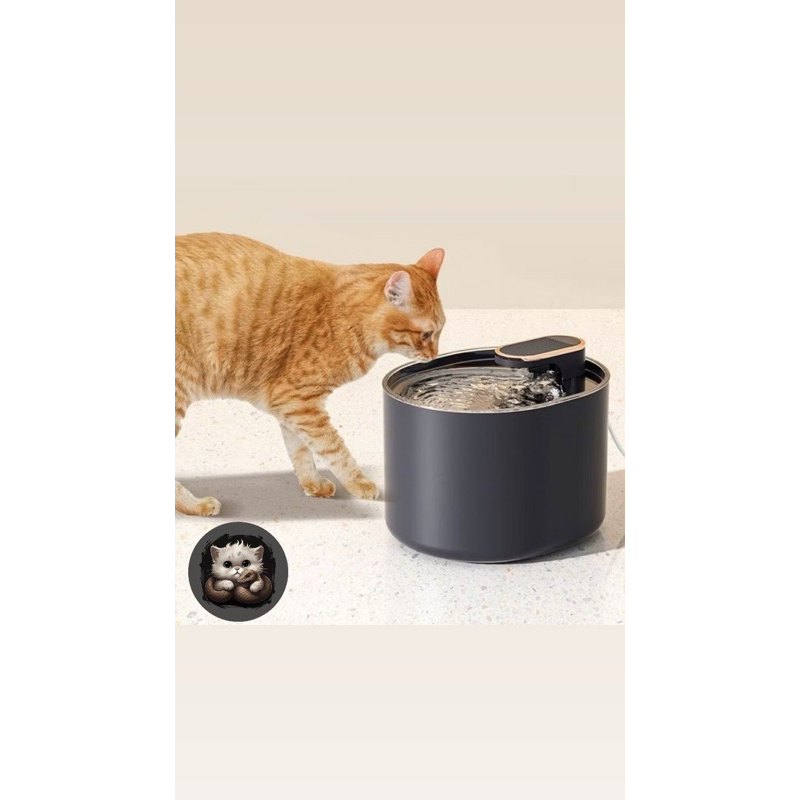 Tempat air minum hewan otomatis / dispenser minuman hewan otomatis