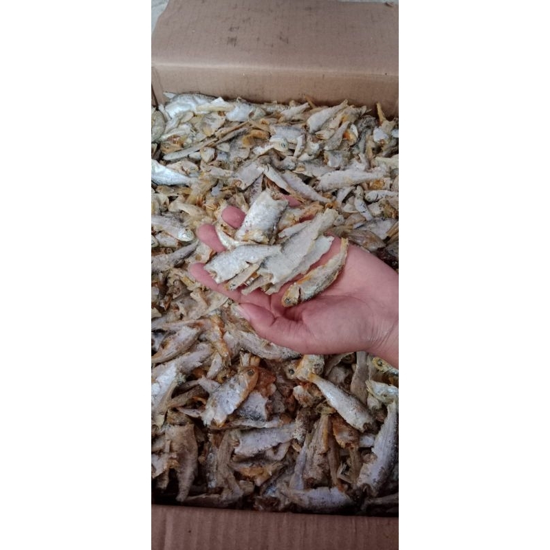 

IKAN BILIS ,IKAN SAMPAH ,IKAN CAMPUR