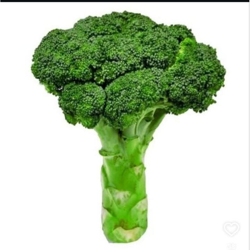 

BROKOLI FRESH