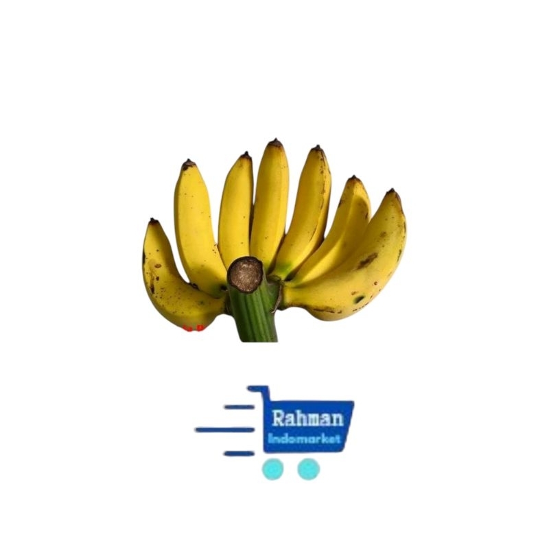 

PISANG RAJA 1 sisir