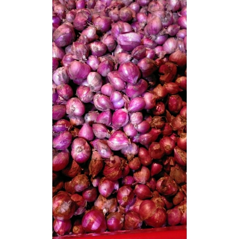 

bawangmerah