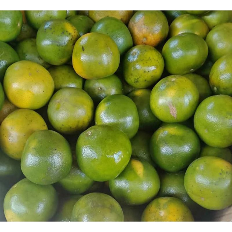 

jeruk manis jember 1kg
