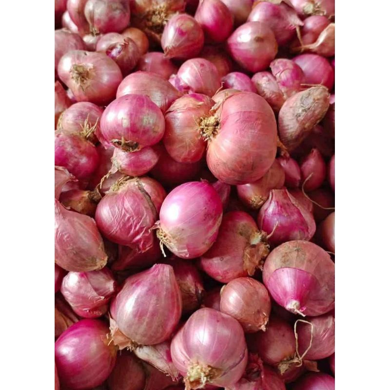 

bawang merah 1kg