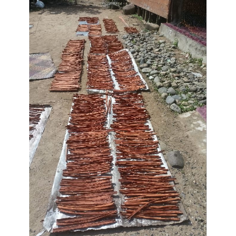 

KAYU MANIS LOKSADO