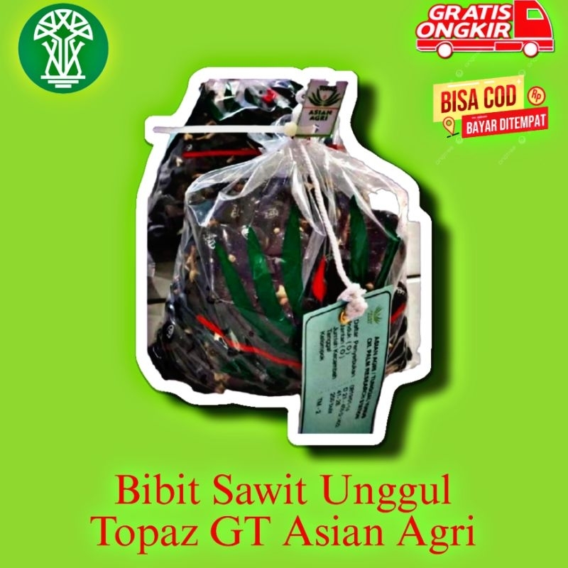 BIBIT SAWIT UNGGUL TOPAZ GT ASIAN AGRI SERI 3 DAN 4