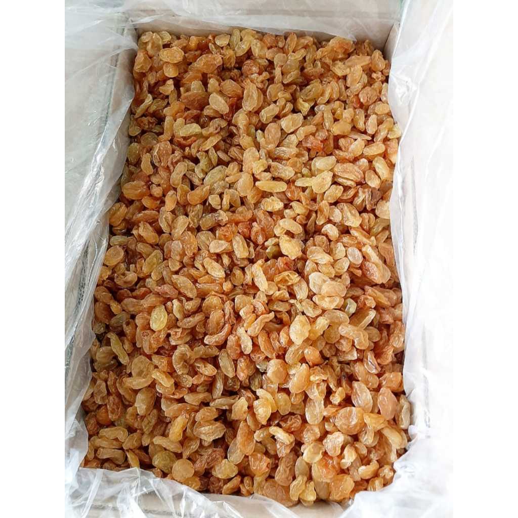 

Kismis Asam Manis 10kg