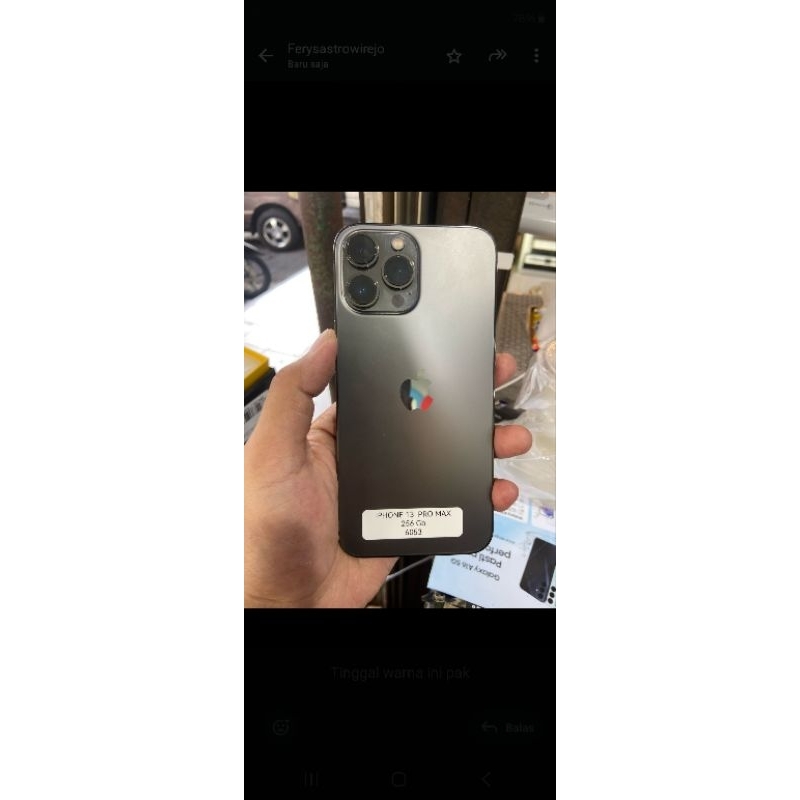 iphone 13 pro max 256