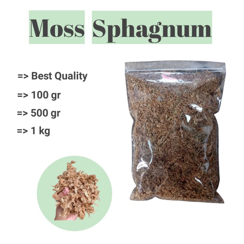 Media Tanam Moss Sphagnum Best Quality / Media Tanam Moss Sphagnum Anggrek / Media Tanam Moss Sphagn