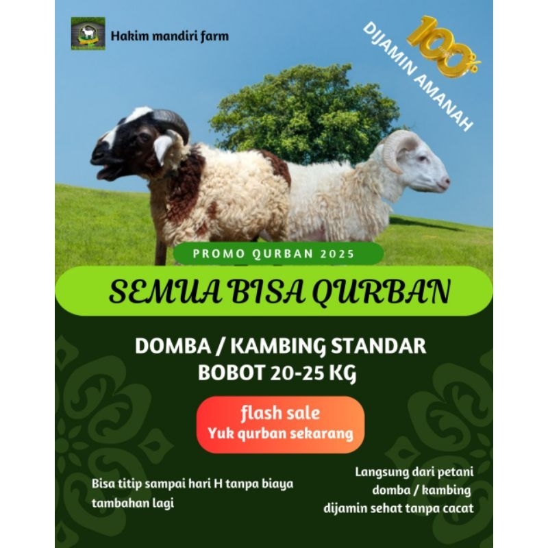 

kambing qurban jantan