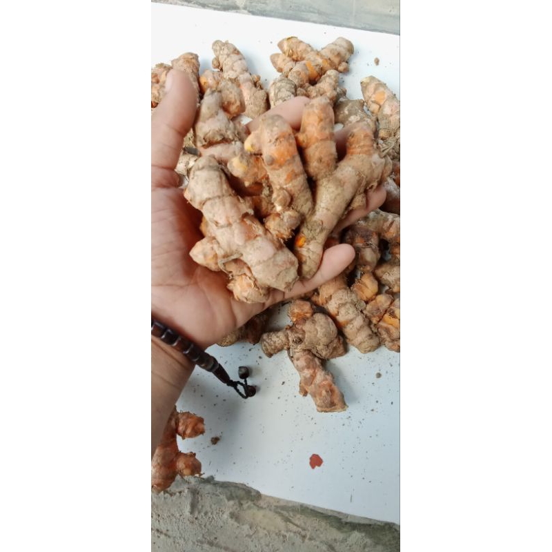 

kunyit segar 250g, 500g & 1000g /kunyit bumbu dapur