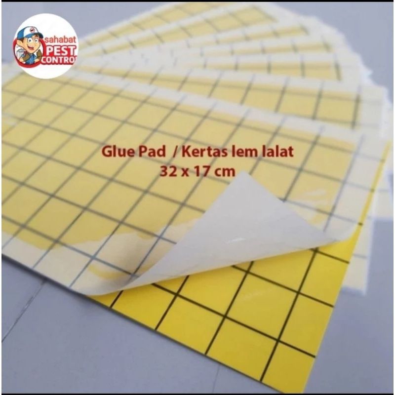 

GluePad/LemLalatUkuran32×17Isi10Pcs