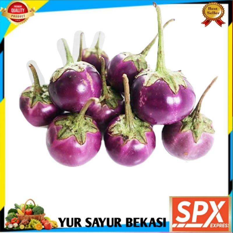 

Terong Ungu Bulat 250gr.