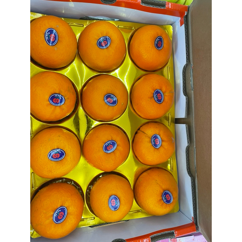 

Jeruk wokam mandarin jumbo fresh-+4,5kg/ box