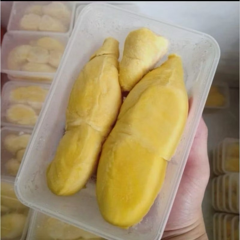 

500GR PREMIUM DURIAN MONTONG PALU langsung dari Kebun di Palu
